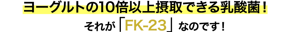 ヨーグルトの10倍以上摂取できる乳酸菌！それがフェカリスFK-23なのです！