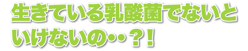 生きている乳酸菌でないといけないの？